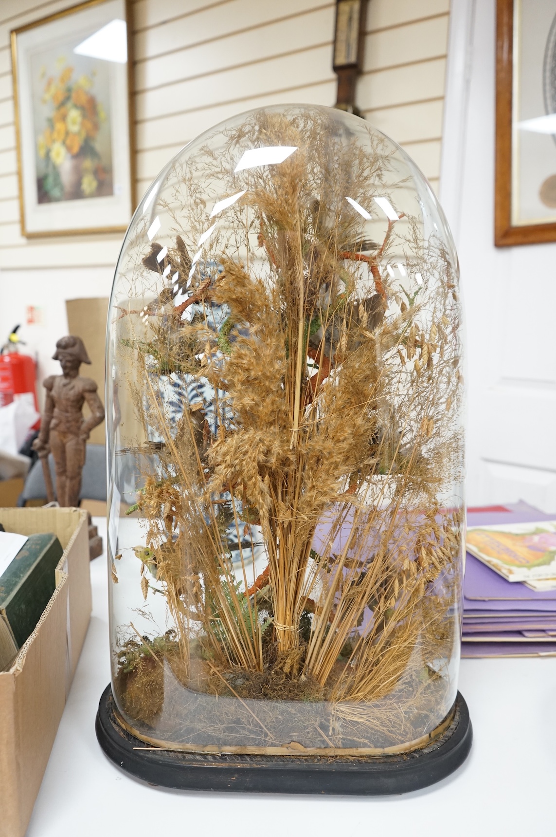 A late 19th century taxidermy group of exotic birds, including a Campo Troupail, a canary, a greenfinch, a Red-crested Cardinal, etc., under a glass dome, 64cm high